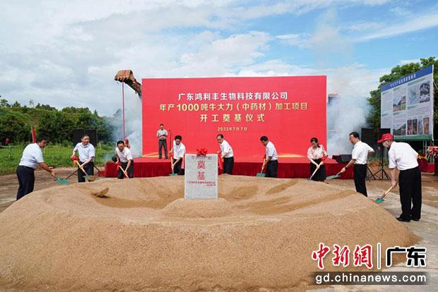 領導嘉賓為鴻利豐公司牛大力加工項目培土奠基。（劉爐慎 攝）
