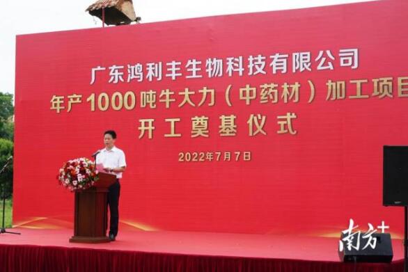 年產1000噸！牛大力（中藥材）加工項目在興寧開工奠基